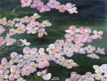 Dogwood